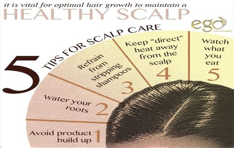 Make your ‪#‎scalp‬ healthy. ‪#‎Tips‬ for Scalp ‪#‎care‬.