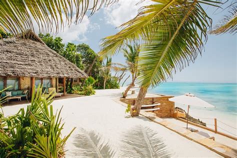 TULIA ZANZIBAR UNIQUE BEACH RESORT - Updated 2024 Reviews, Photos & Prices