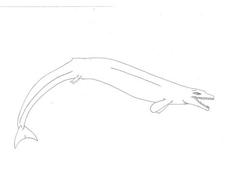 Basilosaurus WIP by Saberrex on DeviantArt