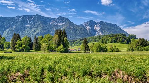 Photo Germany Chiemgau, Upper Bavaria Nature mountain Scenery Grass