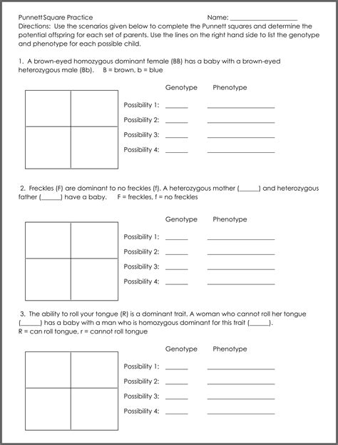 Punnett Square Practice Worksheet 7th Grade