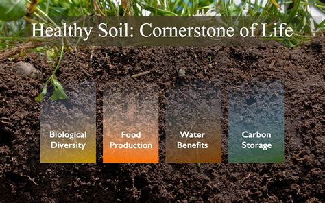 4 reasons that are Impacting Soil health and Climate change for the ...