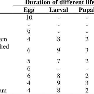 Life cycle of Callosobruchus chinensis on different commodities ...