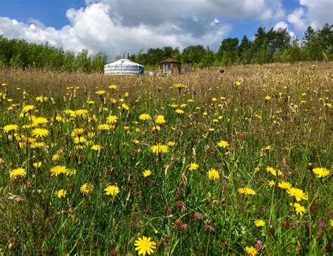 Kite Hill Yurts - Hipcamp in Powys, Wales