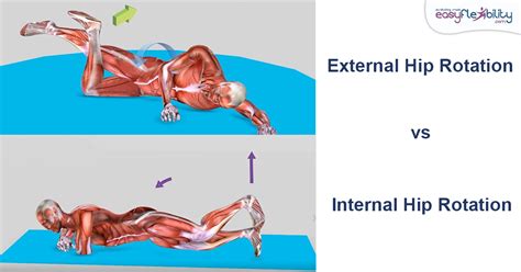 The 3 Most Effective Exercises for Developing Hip Internal and External ...