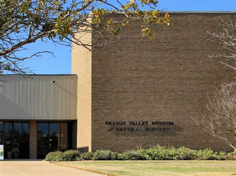 Brazos Valley Museum of Natural History (Bryan) - Visitor Information ...