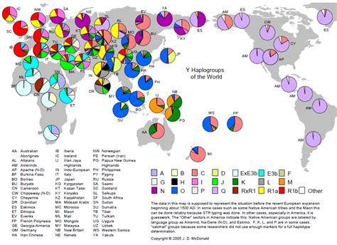 What is a Haplogroup? | DNAeXplained – Genetic Genealogy