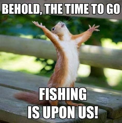 30 Funny Fishing Memes for Guaranteed Giggle – SheIdeas