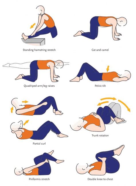 Pin on Scoliosis Exercises Stretching