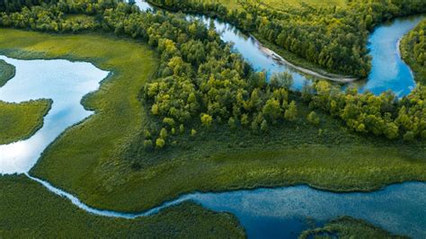 Swamp, river and trees seen from above, Straumbu, Hedmark county ...