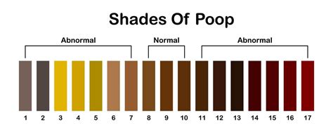 Feces Color Chart