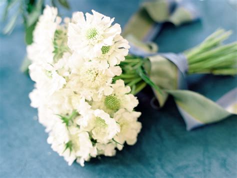 White Scabiosa Bouquet with Ribbon