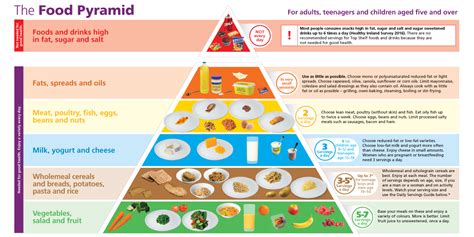 Food Pyramid Explanation Pdf