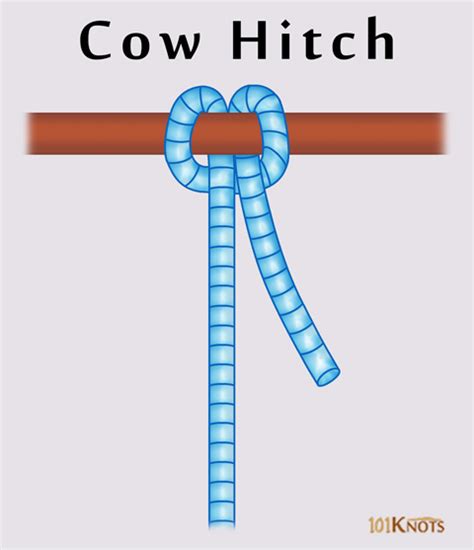 How to Tie a Cow Hitch? Variations, Quick & Easy Steps Guide