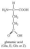 Structure Of Glutamic Acid