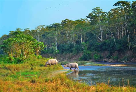 Wildlife of Nepal and Conservation | TransIndus