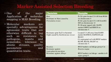 Application of molecular probes