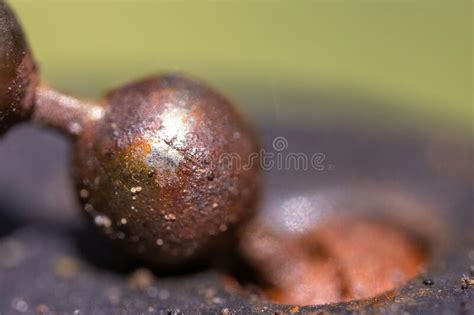 Rusted Metal Baring Close Up Detail of Texture Stock Image - Image of ...