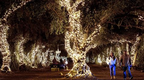 123 Farm brings holiday cheer with Christmas Nights festival