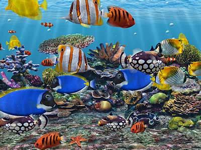 Free 3d aquarium screensaver for windows 10 - lasopaloop