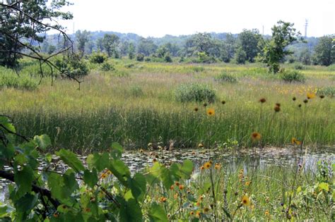 Illinois Beach State Park | More Organics