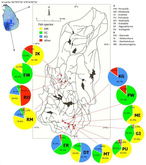 Map of major stream distribution and sampling locations in the Mahaweli ...