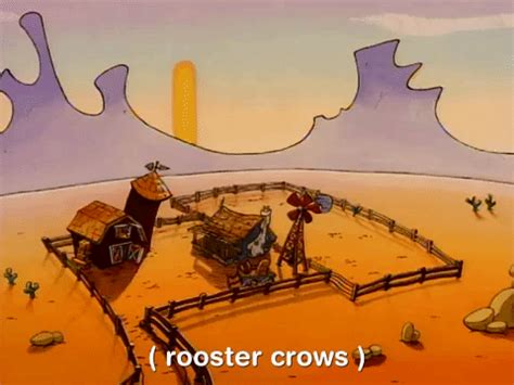 Rooster Crowing Early Morning In Desert GIF | GIFDB.com