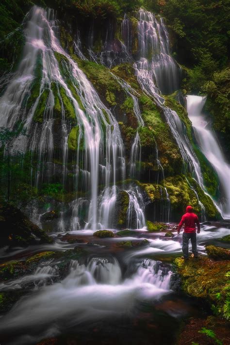 Waterfall & Forest Landscapes Photo Gallery