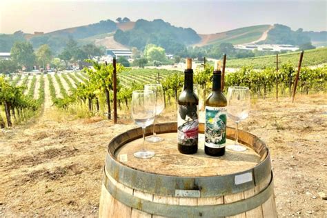 7 of the Best Wineries to Explore in Paso Robles, CA