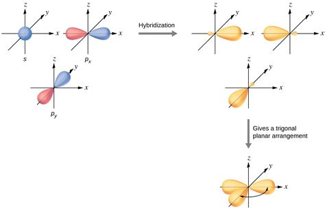 Hybrid Atomic Orbitals | General Chemistry