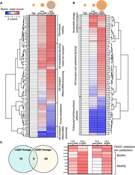 Differential expression analysis of RNA-seq data. Differentially ...