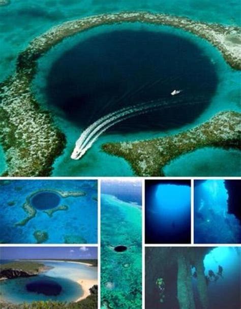 Deepest Blue Hole (Bahamas) 202m deep | Great blue hole, Blue hole ...