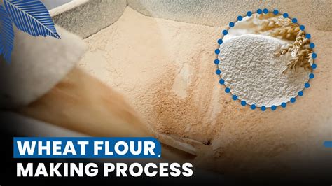 Wheat Flour Factory | Discover the Wheat Flour Processing in a Flour ...