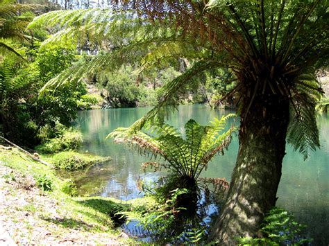 The Blue Lake, Jenolan Caves - a photo on Flickriver