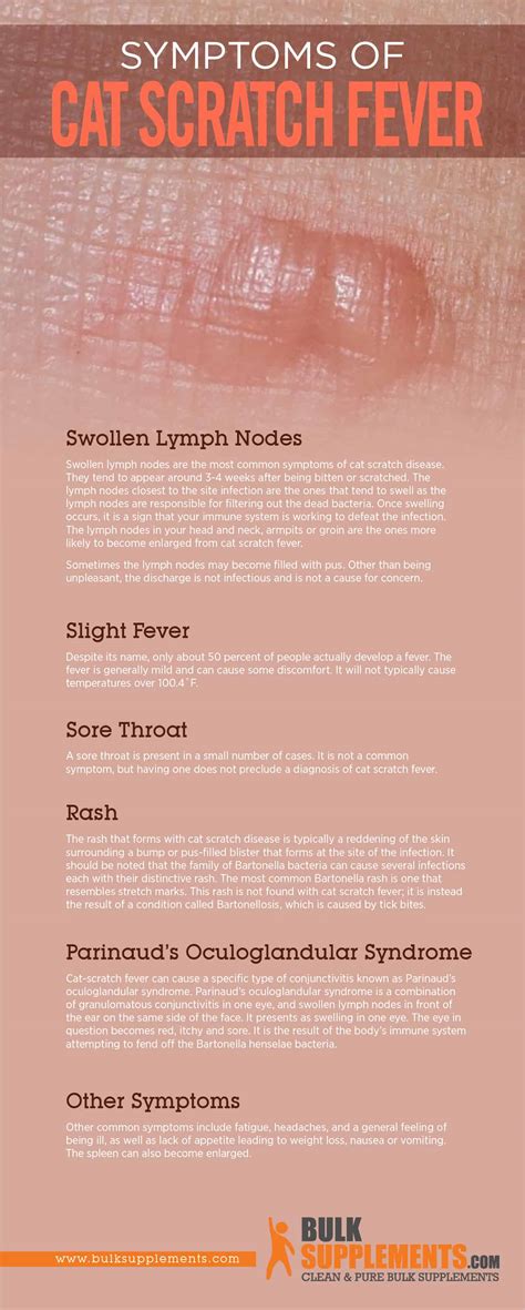 Cat Scratch Fever: Characteristics, Causes & Treatment