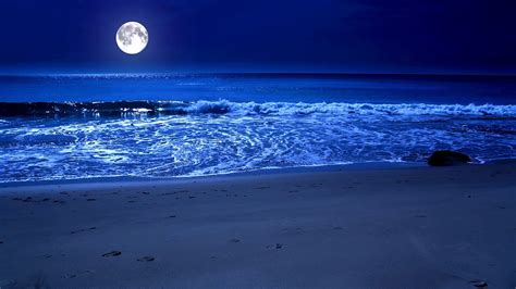 Sleep By The Sea All Night With The Full Moon And Relaxing Sparkling ...