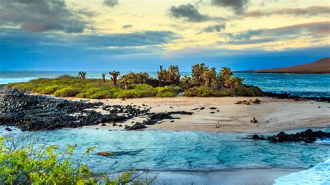 Discover the sumptuous Galapagos Islands and their breathtaking aquatic ...