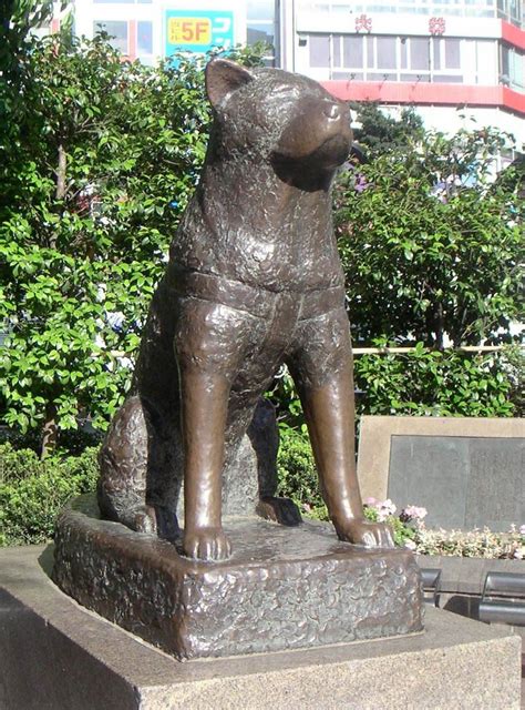 (Hachiko Statue), Yokohama, Shibuya Station | Loyal dogs, A dog's tale ...