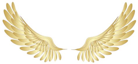 Yellow wings clipart - Clipground