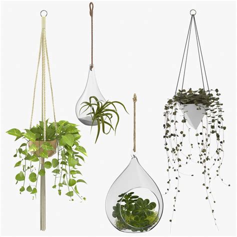 Hanging Plants 3D Models download - Free3D