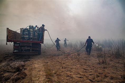 Know What Causes Wildfires Around Texas and How To Avoid Them