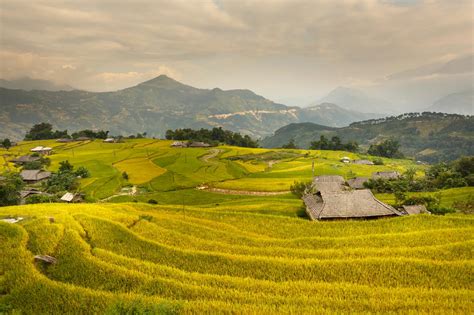 Photo Of Rice Terraces During Daytime · Free Stock Photo