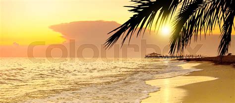 Golden Sunset on the beach in tropical resort | Stock image | Colourbox