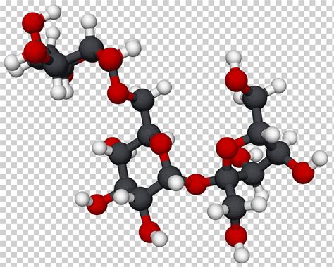 Rafinosa galactosa molécula monosacárido estaquiosa, estructura ...