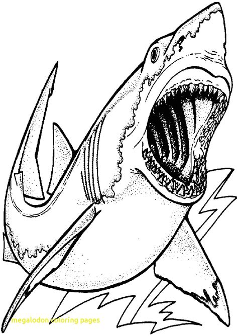 Realistic Shark Coloring Pages at GetColorings.com | Free printable ...