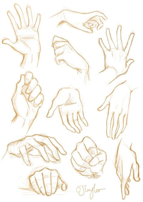 several hands are shown with different gestures and positions in the ...