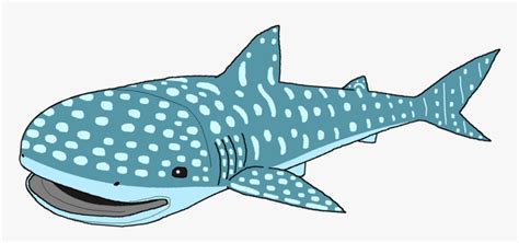 Shark Clipart With Transparent Background