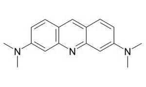 10127-02-3 CAS | ACRIDINE ORANGE | Biological Stains and Dyes | Article ...