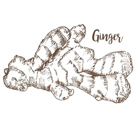 Ginger letter Stock Photos, Royalty Free Ginger letter Images ...