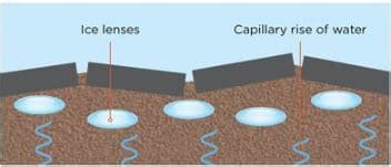 What is Frost Action in soils and How to prevent it?